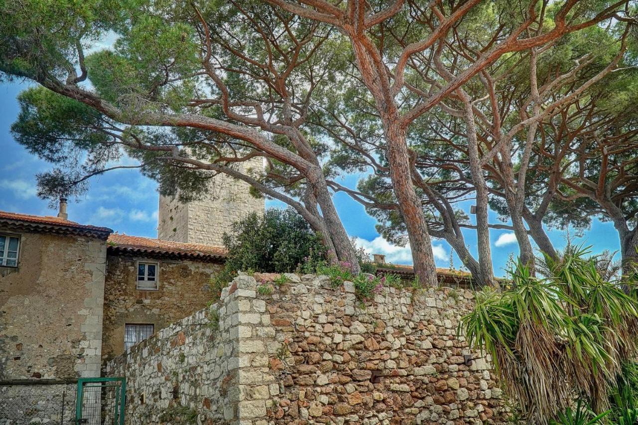 Immogroom - 5 Min From Beaches - Suquet - Ac Cannes Exterior photo